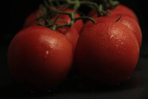 Organic Tomatoes Black Back Ground — Stock Photo, Image