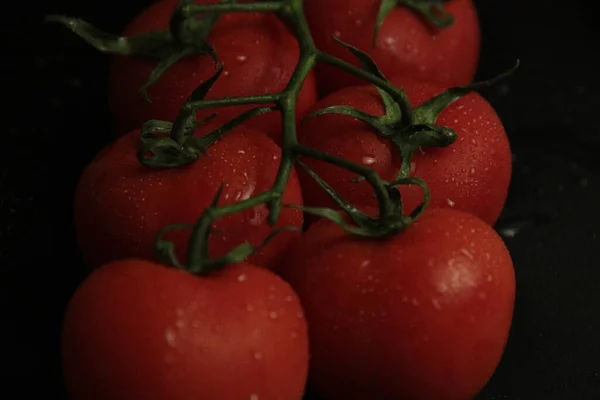 Tomates Vermelhos Frescos Orgânicos Sobre Fundo Preto — Fotografia de Stock