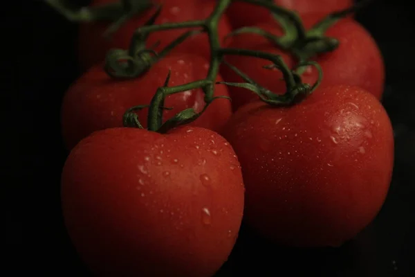 Tomates Vermelhos Frescos Orgânicos Sobre Fundo Preto — Fotografia de Stock