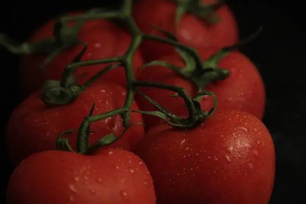 Red Fresh Organic Tomatoes Black Background — Stock Photo, Image