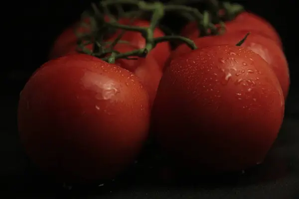 Tomates Vermelhos Frescos Orgânicos Sobre Fundo Preto — Fotografia de Stock