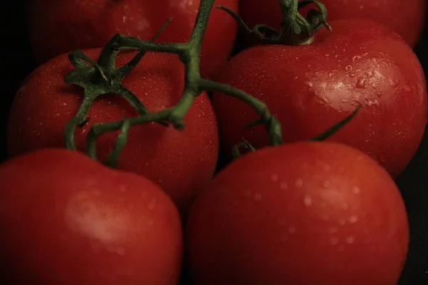 Rote Frische Und Bio Tomaten Auf Schwarzem Hintergrund — Stockfoto