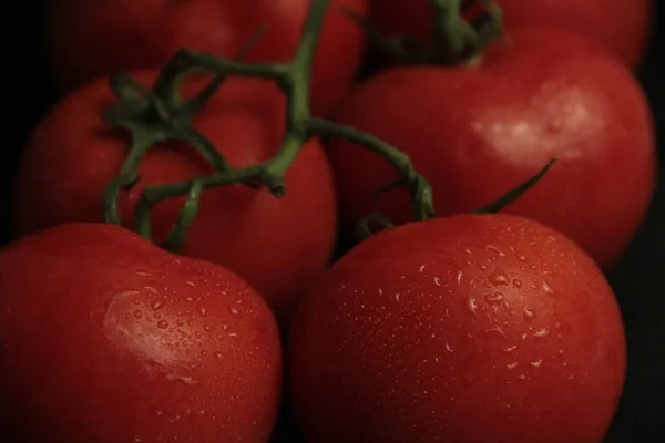 Tomates Vermelhos Frescos Orgânicos Sobre Fundo Preto — Fotografia de Stock