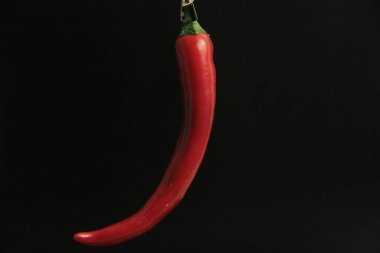 Siyah arka planda renkli biberler