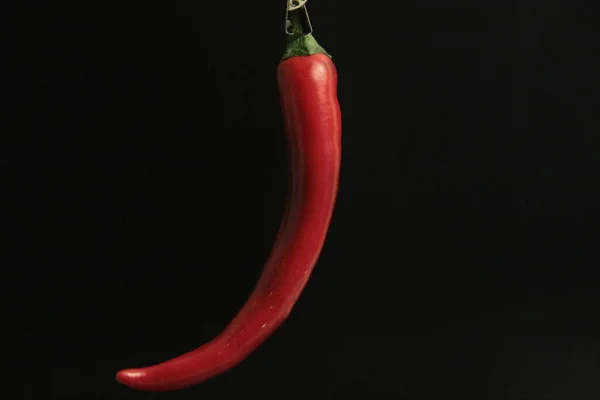 Colorful Peppers Black Background — Stock Photo, Image