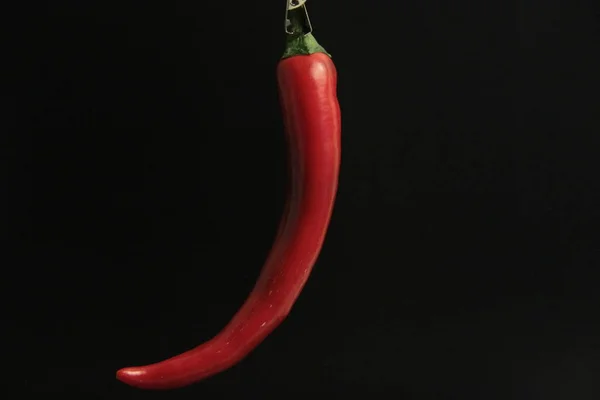 Colorful Peppers Black Background — Stock Photo, Image