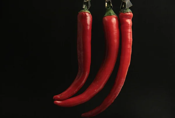 Colorful Peppers Black Background — Stock Photo, Image