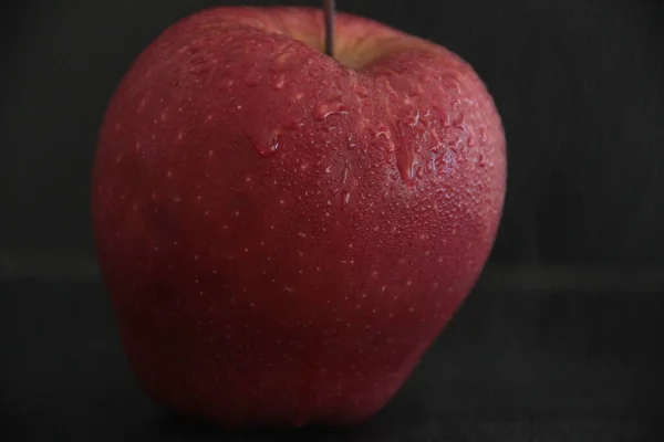 แอปเป นทร บนพ นหล — ภาพถ่ายสต็อก
