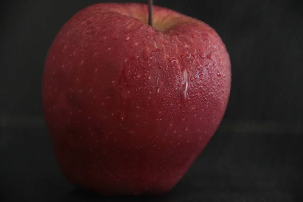 แอปเป นทร บนพ นหล — ภาพถ่ายสต็อก