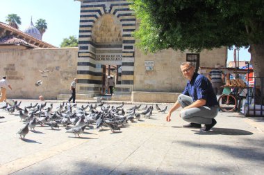 Güvercinler bahçede yemek yiyor.