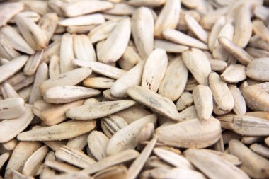 organik, taze ve lezzetli fındıklar