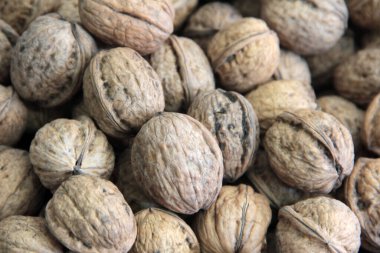 organik, taze ve lezzetli fındıklar