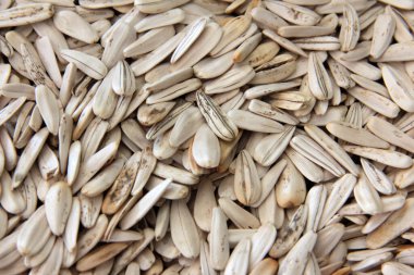 organik, taze ve lezzetli fındıklar