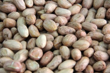 organik, taze ve lezzetli fındıklar