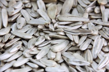 organik, taze ve lezzetli fındıklar