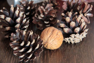 organik, taze ve lezzetli fındıklar