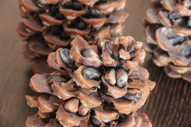 organik, taze ve lezzetli fındıklar