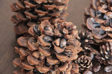 organik, taze ve lezzetli fındıklar