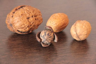 organik, taze ve lezzetli fındıklar