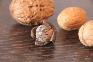 organik, taze ve lezzetli fındıklar