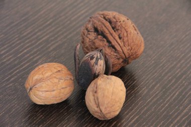 organik, taze ve lezzetli fındıklar