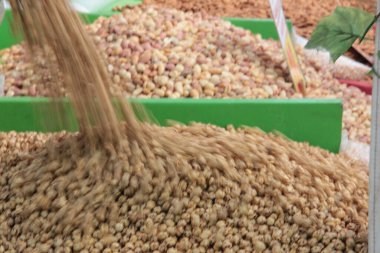 organik, taze ve lezzetli fındıklar