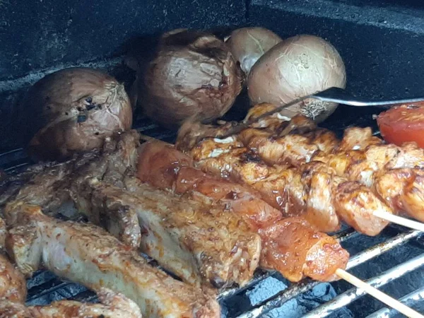 Delicioso Kebab Adana Saladas — Fotografia de Stock