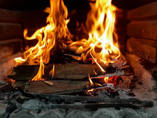 Νόστιμο Αντάνα Κεμπάπ Και Σαλάτες — Φωτογραφία Αρχείου