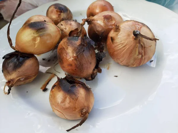 Delicioso Kebab Adana Ensaladas —  Fotos de Stock