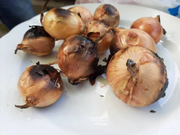 Delicioso Kebab Adana Ensaladas — Foto de Stock