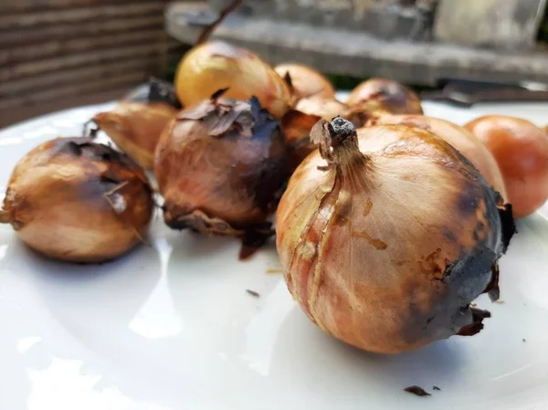 맛있는 아다나 케밥과 샐러드 — 스톡 사진