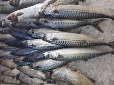 Soğutulmuş balık sazan balığı mağazanın tezgahındaki buzda yatıyor.