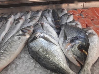 Soğutulmuş balık sazan balığı mağazanın tezgahındaki buzda yatıyor.