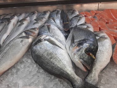 Soğutulmuş balık sazan balığı mağazanın tezgahındaki buzda yatıyor.