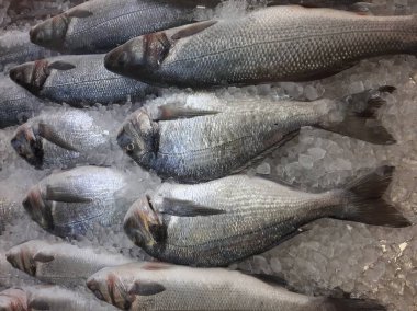 Soğutulmuş balık sazan balığı mağazanın tezgahındaki buzda yatıyor.