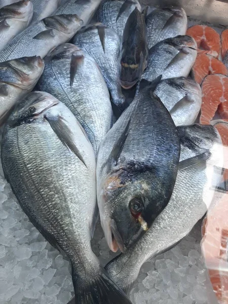 Carpa Peixe Resfriada Fica Gelo Balcão Loja — Fotografia de Stock