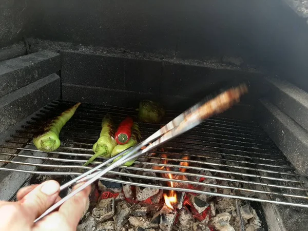 Balık Izgarada Yaz Barbeküsü Konsepti — Stok fotoğraf