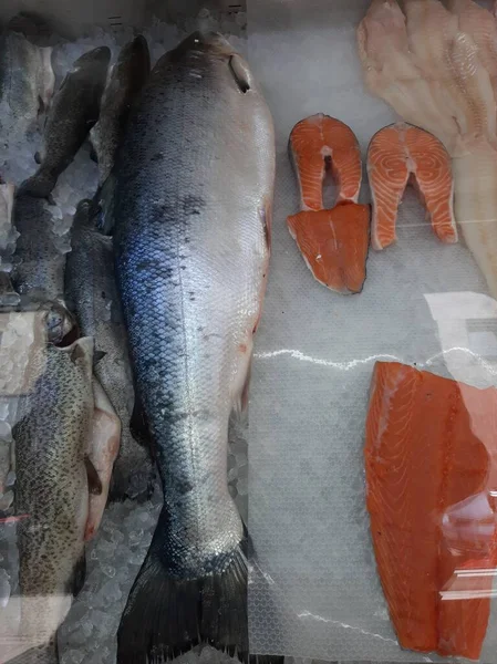 Carpa Peixe Resfriada Fica Gelo Balcão Loja — Fotografia de Stock
