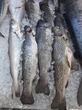 Soğutulmuş balık sazan balığı mağazanın tezgahındaki buzda yatıyor.