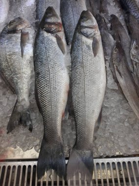 Soğutulmuş balık sazan balığı mağazanın tezgahındaki buzda yatıyor.