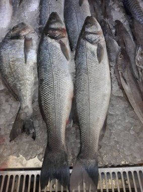 Soğutulmuş balık sazan balığı mağazanın tezgahındaki buzda yatıyor.