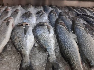 Soğutulmuş balık sazan balığı mağazanın tezgahındaki buzda yatıyor.