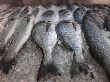 Soğutulmuş balık sazan balığı mağazanın tezgahındaki buzda yatıyor.