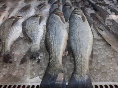 Soğutulmuş balık sazan balığı mağazanın tezgahındaki buzda yatıyor.