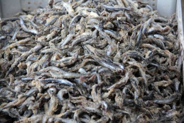 Ançüezler tavada sebze yağında kızartılır.