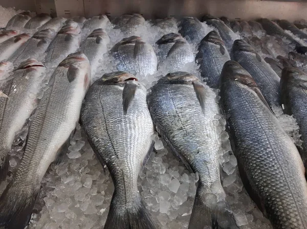 Охлажденный Рыбный Карп Лежит Льду Прилавке Магазина — стоковое фото