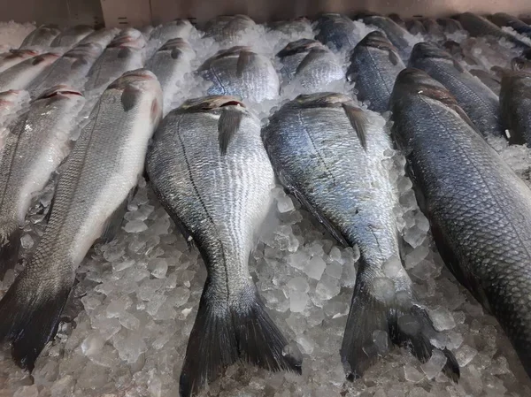 Охлажденный Рыбный Карп Лежит Льду Прилавке Магазина — стоковое фото