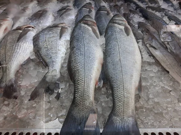 Soğutulmuş balık sazan balığı mağazanın tezgahındaki buzda yatıyor.