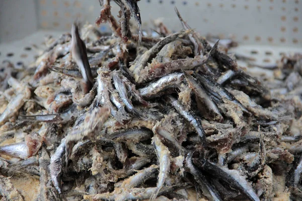 Ançüezler tavada sebze yağında kızartılır.