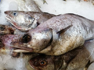 Soğutulmuş balık sazan balığı mağazanın tezgahındaki buzda yatıyor.